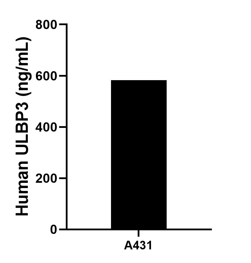 Sandwich ELISA sample test of MP03230-1