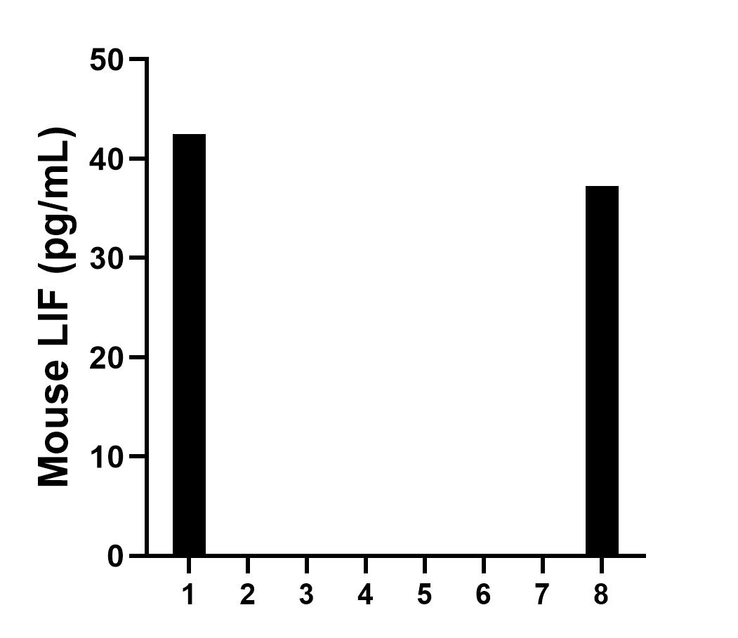 Serum of eight mice was measured. Six samples measured less than the lowest mouse LIF standard, 31.3 pg/mL. Two samples read 42.5 pg/mL and 37.2 pg/mL, respectively. Serum of eight mice was measured. Six samples measured less than the lowest mouse LIF standard, 31.3 pg/mL. Two samples read 42.5 pg/mL and 37.2 pg/mL, respectively.