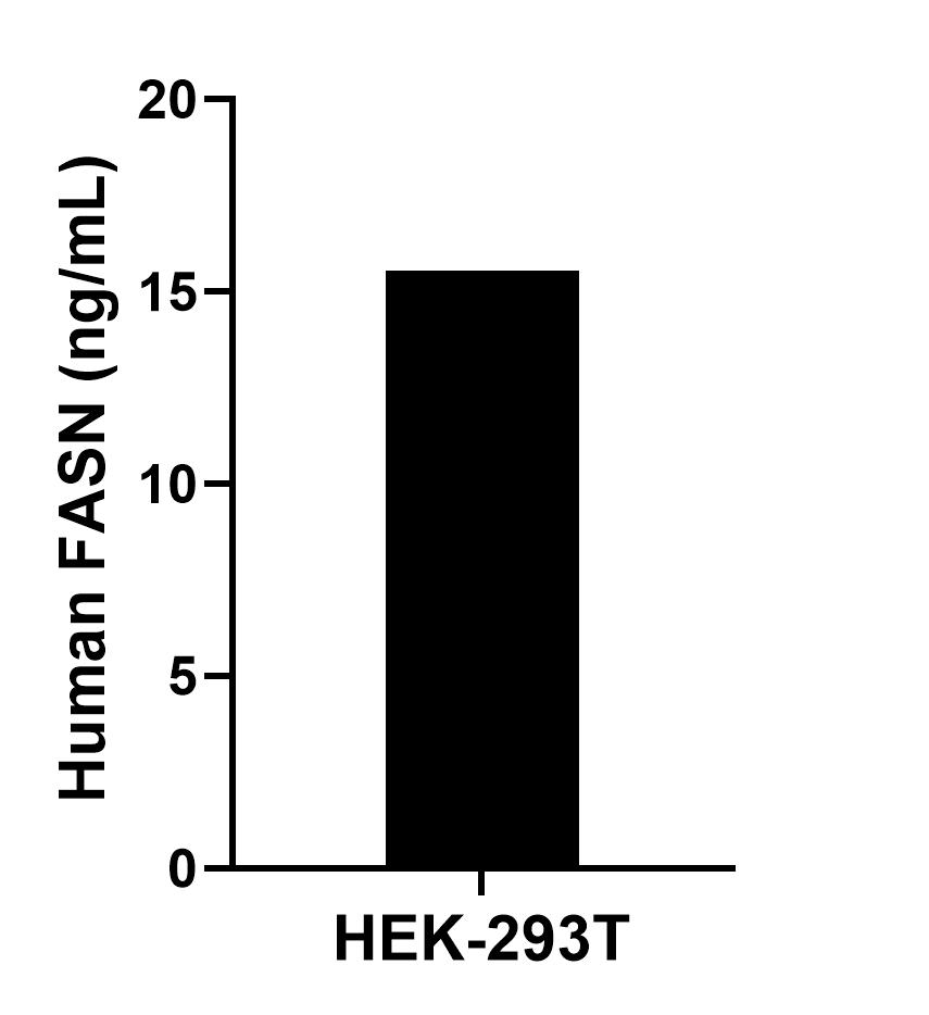The mean FASN concentration was determined to be 15.53 ng/mL in HEK-293T cell extract based on a 1.20 mg/mL extract load. The mean FASN concentration was determined to be 15.53 ng/mL in HEK-293T cell extract based on a 1.20 mg/mL extract load.
