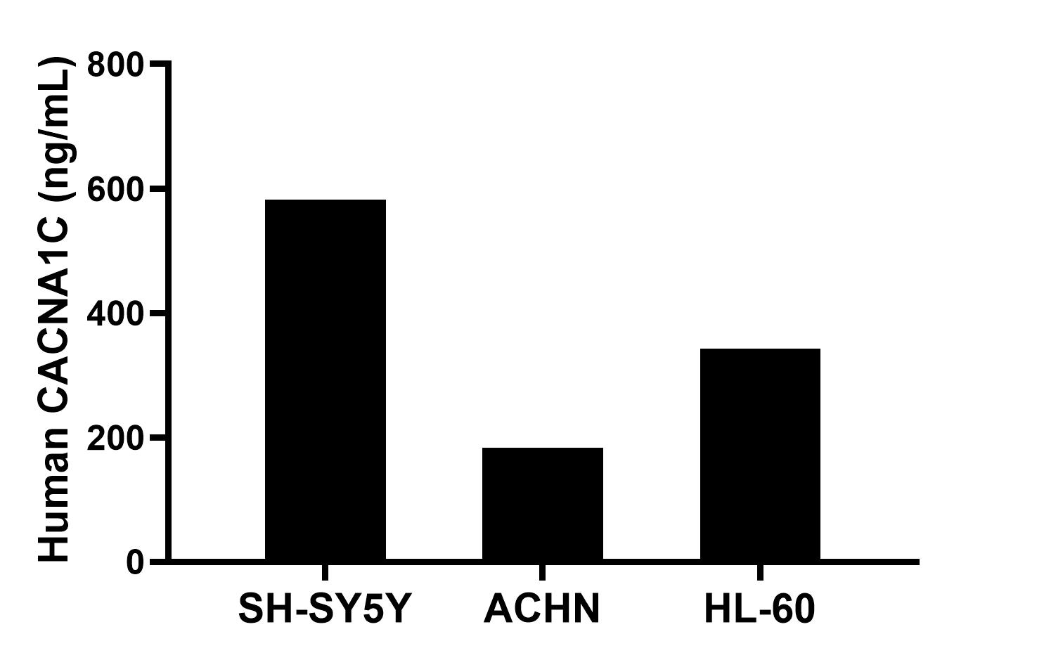 The mean CACNA1C concentration was determined to be 581.70 ng/mL in SH-SY5Y cell extract based on a 1.20 mg/mL extract load, 184.00 ng/mL in ACHN cell extract based on a 1.20 mg/mL extract load and 342.90 ng/mL in HL-60 cell extract based on a 1.20 mg/mL extract load. The mean CACNA1C concentration was determined to be 581.70 ng/mL in SH-SY5Y cell extract based on a 1.20 mg/mL extract load, 184.00 ng/mL in ACHN cell extract based on a 1.20 mg/mL extract load and 342.90 ng/mL in HL-60 cell extract based on a 1.20 mg/mL extract load.
