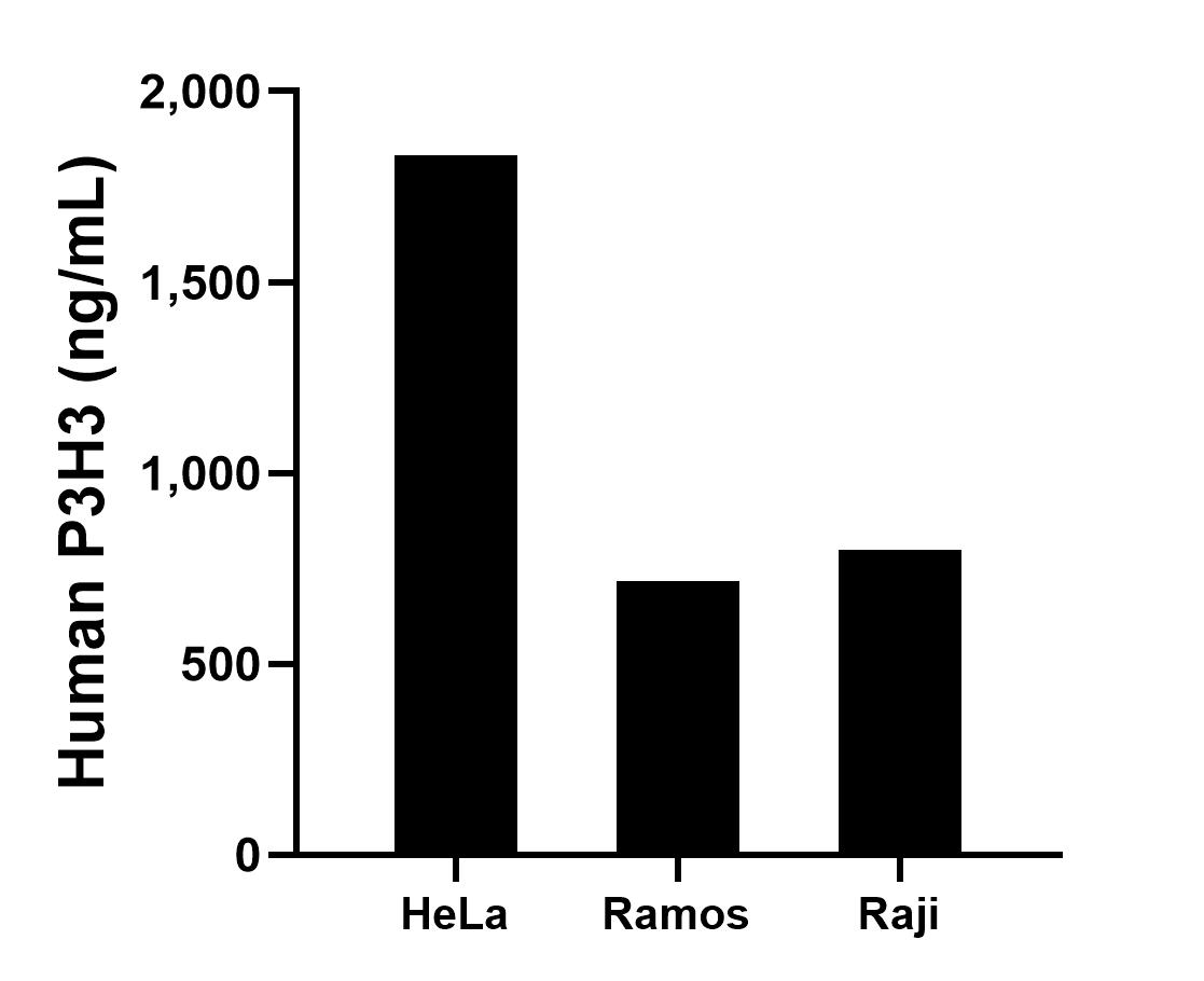 The mean P3H3 concentration was determined to be 1,831.68 ng/mL in HeLa cell extract based on a 1.20 mg/mL extract load, 715.68 ng/mL in Ramos cell extract based on a 1.20 mg/mL extract load and 798.43 ng/mL in Raji cell extract based on a 1.50 mg/mL extract load. The mean P3H3 concentration was determined to be 1,831.68 ng/mL in HeLa cell extract based on a 1.20 mg/mL extract load, 715.68 ng/mL in Ramos cell extract based on a 1.20 mg/mL extract load and 798.43 ng/mL in Raji cell extract based on a 1.50 mg/mL extract load.