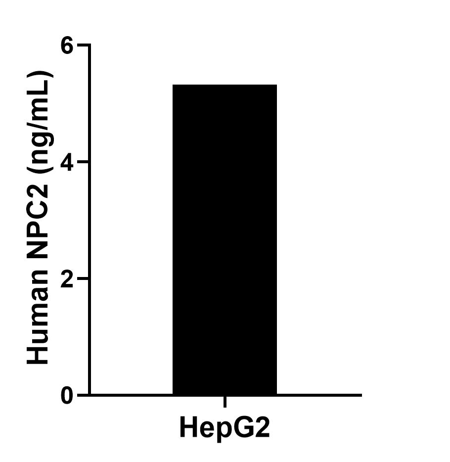 The mean NPC2 concentration was determined to be 5.3 ng/mL in HepG2 cell extract based on a 1.2 mg/mL extract load. The mean NPC2 concentration was determined to be 5.3 ng/mL in HepG2 cell extract based on a 1.2 mg/mL extract load.