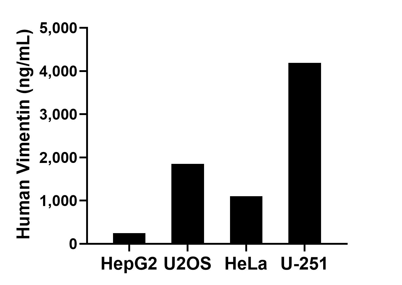 The mean Vimentin concentration was determined to be 250.38 ng/mL in HepG2 cell extract based on a 1.20 mg/mL extract load, 1,849.39 ng/mL in U2OS cell extract based on a 1.20 mg/mL extract load, 1,100.42 ng/mL in HeLa cell extract based on a 1.20 mg/mL extract load and 4,187.14 ng/mL in U-251 cell extract based on a 1.20 mg/mL extract load.