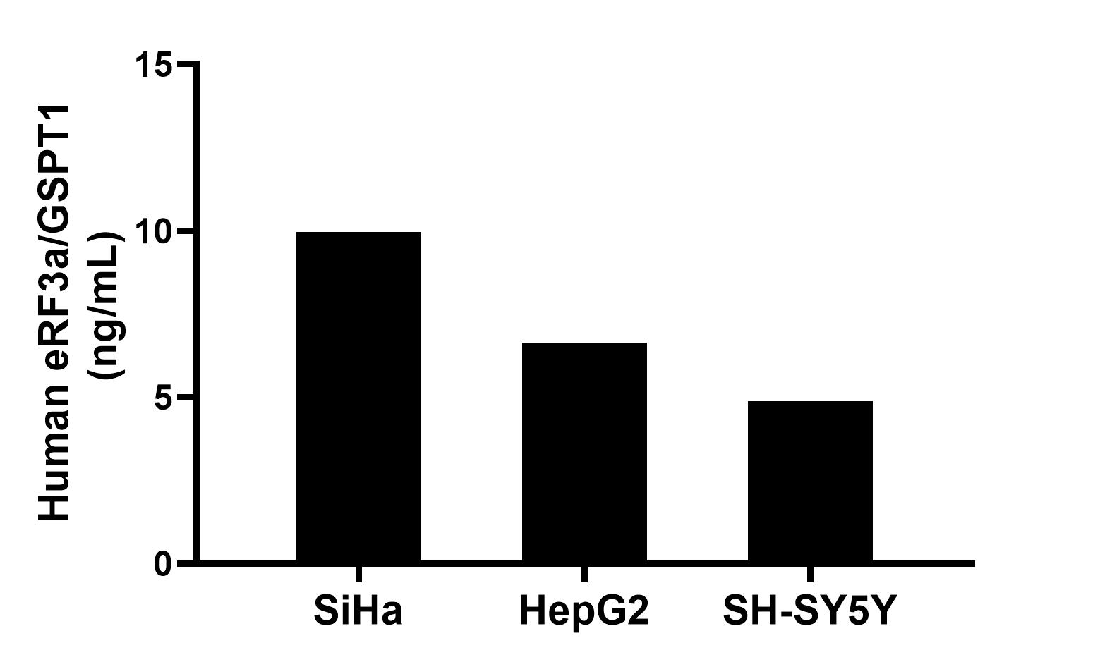 The mean eRF3a/GSPT1 concentration was determined to be 9.97 ng/mL in SiHa cell extract based on a 1.20 mg/mL extract load, 6.64 ng/mL in HepG2 cell extract based on a 1.20 mg/mL extract load and 4.89 ng/mL in SH-SY5Y cell extract based on a 1.20 mg/mL extract load. The mean eRF3a/GSPT1 concentration was determined to be 9.97 ng/mL in SiHa cell extract based on a 1.20 mg/mL extract load, 6.64 ng/mL in HepG2 cell extract based on a 1.20 mg/mL extract load and 4.89 ng/mL in SH-SY5Y cell extract based on a 1.20 mg/mL extract load.