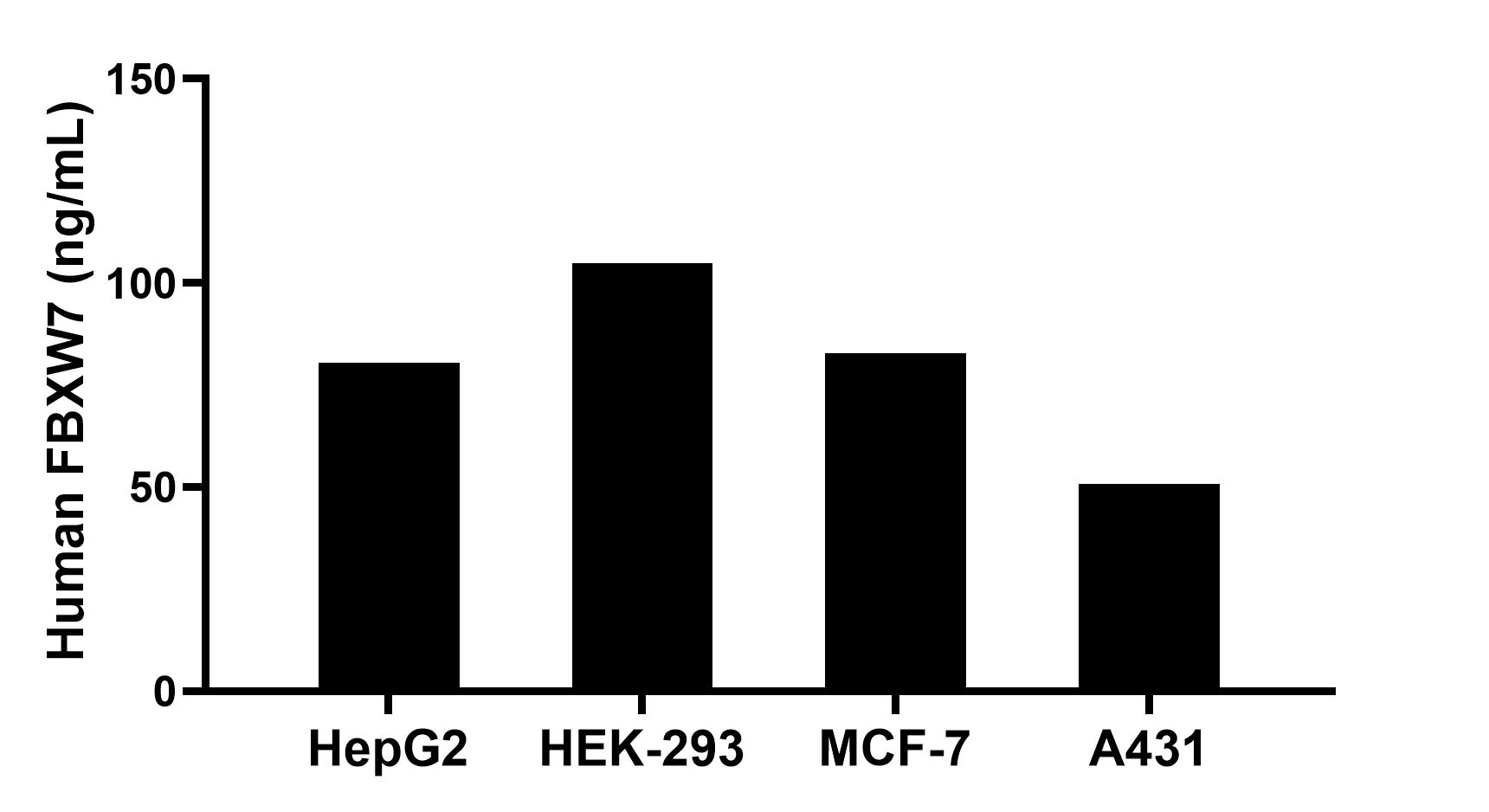 The mean FBXW7 concentration was determined to be 80.53 ng/mL in HepG2 cell extract based on a 1.20 mg/mL extract load, 104.83 ng/mL in HEK-293 cell extract based on a 1.20 mg/mL extract load, 82.72 ng/mL in MCF-7 cell extract based on a 1.20 mg/mL extract load and 50.78 ng/mL in A431 cell extract based on a 1.20 mg/mL extract load.