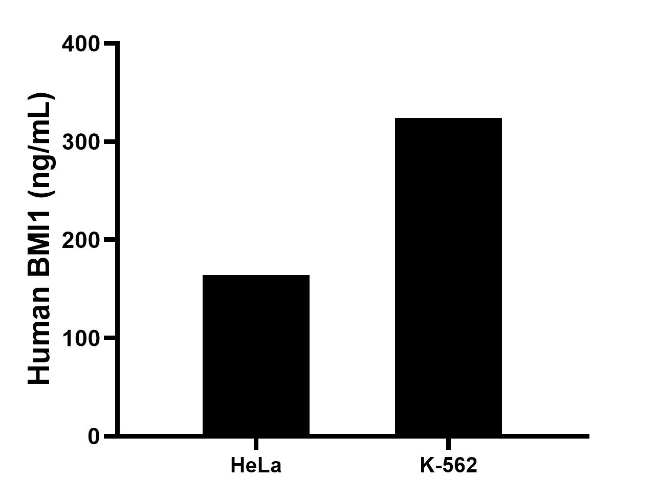 The mean BMI1 concentration was determined to be 164.00 ng/mL in HeLa cell extract based on a 1.2 mg/mL extract load and 324.00 ng/mL in K-562 cell extract based on a 1.2 mg/mL extract load. Sandwich ELISA sample test of MP51443-1