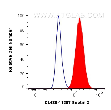 FC experiment of MCF-7 using CL488-11397