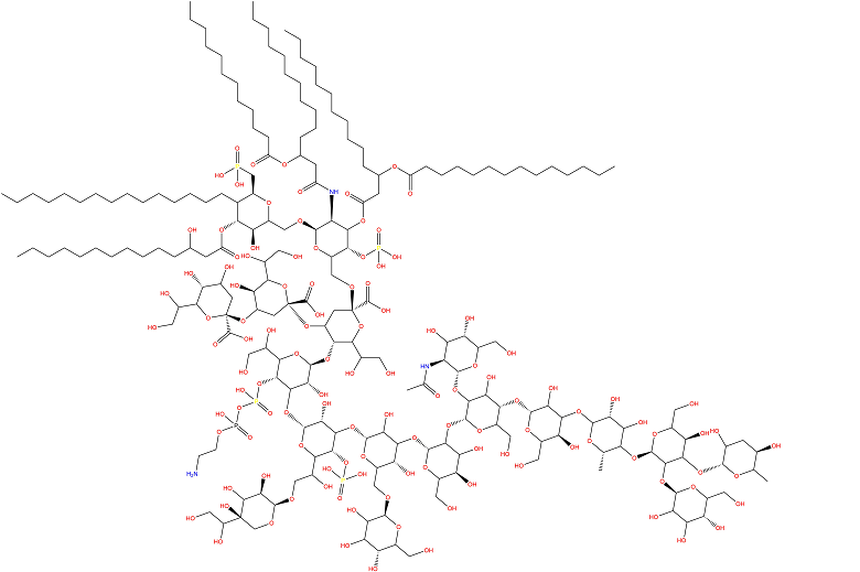 Lipopolysaccharides | Proteintech | 武汉三鹰生物技术有限公司