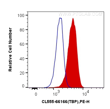 FC experiment of HeLa using CL555-66166