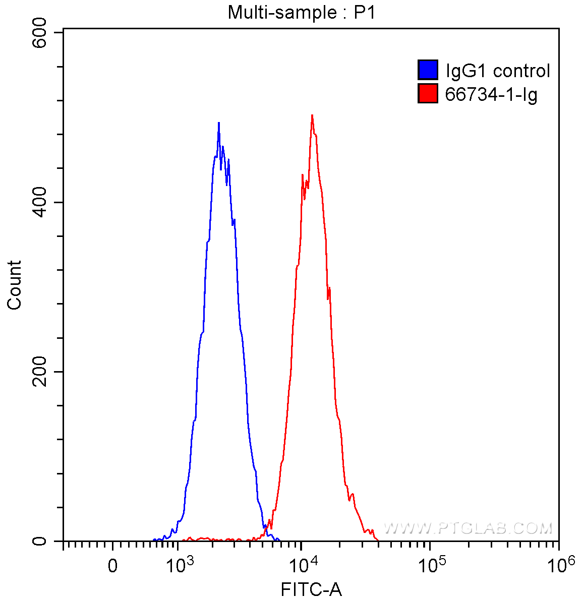 FC experiment of SH-SY5Y using 66734-1-Ig