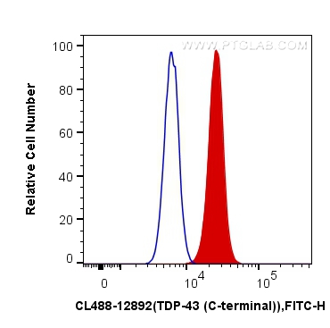FC experiment of HeLa using CL488-12892