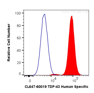 TDP-43 (human specific)