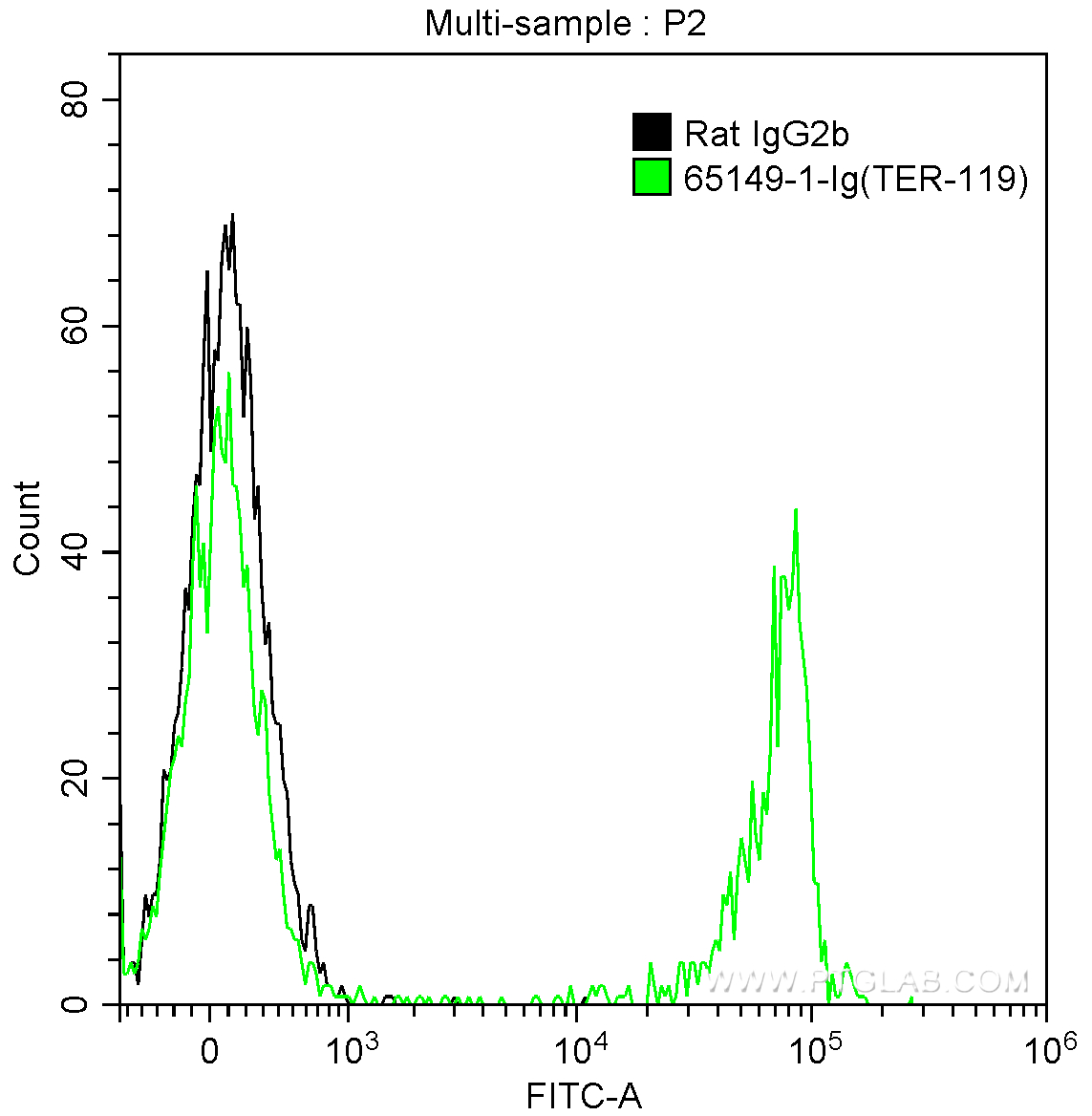 FC experiment of mouse bone marrow cells using 65149-1-Ig