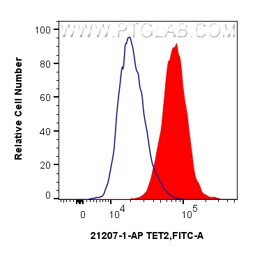 1x10^6 HeLa cells were intracellularly stained with 0.25 ug TET2 Polyclonal antibody (21207-1-AP) and CoraLite®488-Conjugated Goat Anti-Rabbit IgG(H+L) (<a class='green' href='/productredirect?CatalogNo=SA00013-2' target='_blank'>SA00013-2</a>)(red), or 0.25 ug Isotype Control (blue). Cells were fixed and permeabilized with Transcription Factor Staining Buffer Kit (<a class='green' href='/productredirect?CatalogNo=PF00011' target='_blank'>PF00011</a>). FC experiment of HeLa using 21207-1-AP