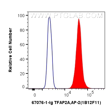 FC experiment of A431 using 67076-1-Ig