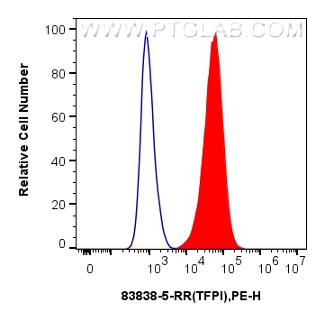 FC experiment of HUVEC using 83838-5-RR (same clone as 83838-5-PBS)