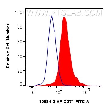 FC experiment of K-562 using 10084-2-AP