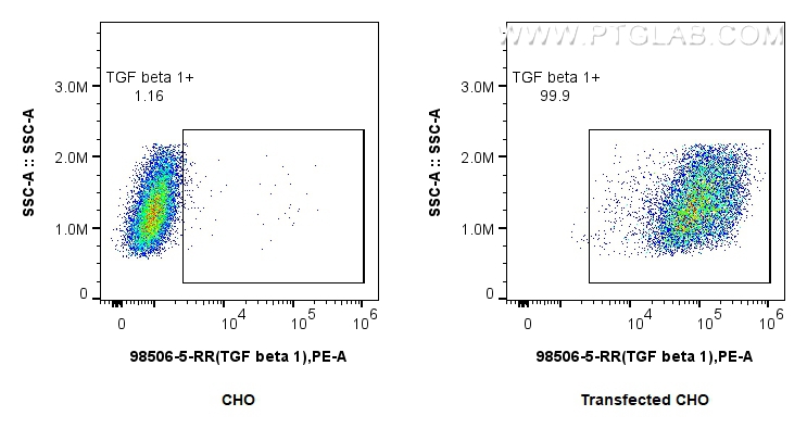 FC experiment of Transfected CHO using 98506-5-RR