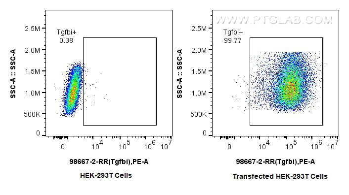 FC experiment of Transfected HEK-293T using 98667-2-RR
