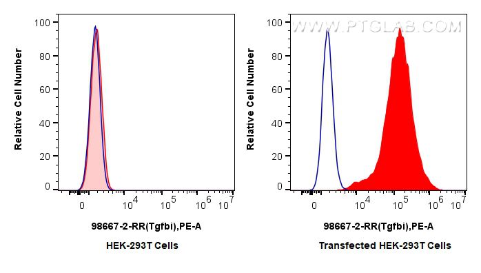 FC experiment of Transfected HEK-293T using 98667-2-RR