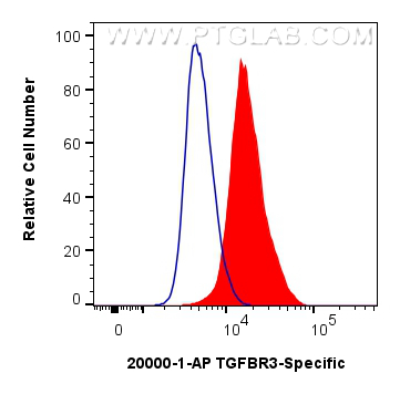 FC experiment of A549 using 20000-1-AP