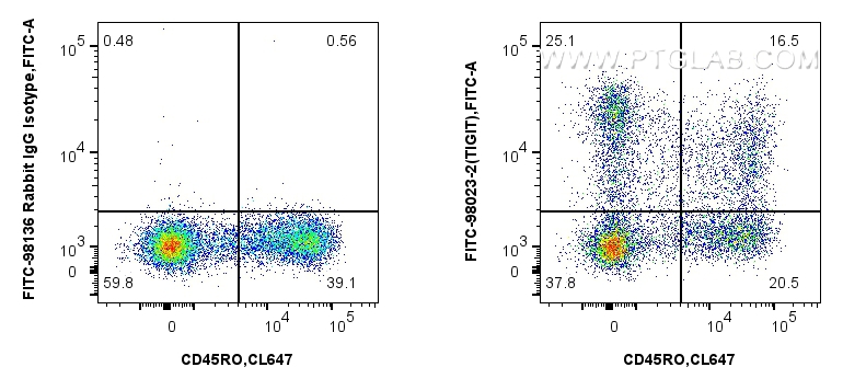 1x10^6 human PBMCs were surface stained with CoraLite® Plus 647 Anti-Human CD45RO, and 5 ul FITC Plus Anti-Human TIGIT Rabbit RecAb (FITC-98023-2, Clone: 240423C7) or FITC Plus Rabbit IgG Isotype Control RecAb (<a class='green' href='/productredirect?CatalogNo=FITC-98136' target='_blank'>FITC-98136</a>, Clone: 240953C9). Cells were not fixed. Lymphocytes were gated. FC experiment of human PBMCs using FITC-98023-2
