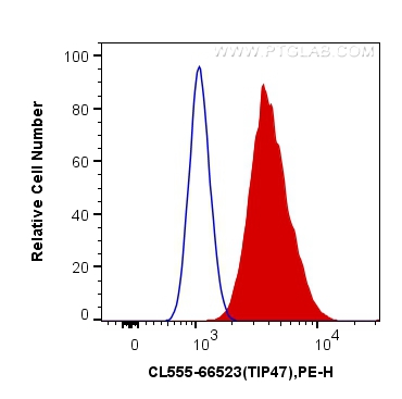 FC experiment of HeLa using CL555-66523