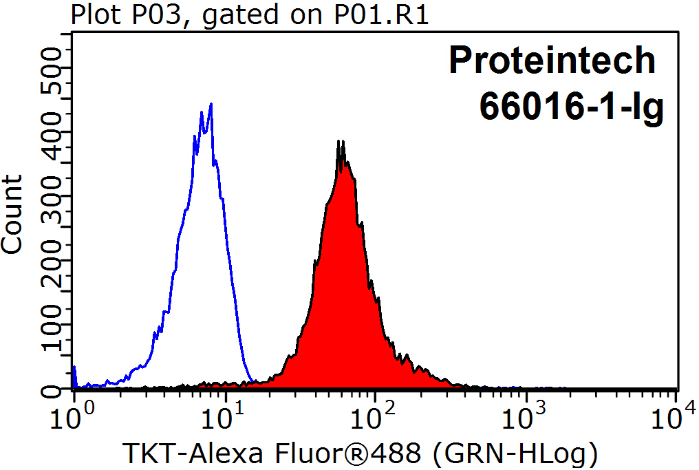 Transketolase