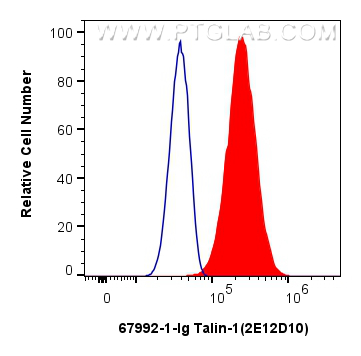 FC experiment of HeLa using 67992-1-Ig