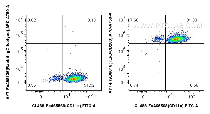 FC experiment of human monocyte-derived immature dendritic cells using AY7-FcA98016