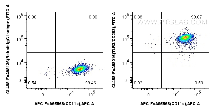 FC experiment of human monocyte-derived immature dendritic cells using CL488-FcA98016 FC experiment of human monocyte-derived immature dendritic cells using CL488-FcA98016