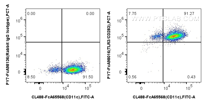 FC experiment of human monocyte-derived immature dendritic cells using PY7-FcA98016