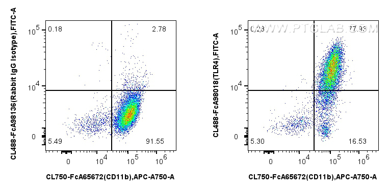 FC experiment of mouse peritoneal macrophages using CL488-FcA98018 FC experiment of mouse peritoneal macrophages using CL488-FcA98018