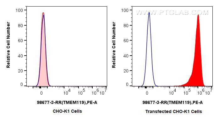 FC experiment of Transfected CHO-K1 using 98677-3-RR FC experiment of Transfected CHO-K1 using 98677-3-RR