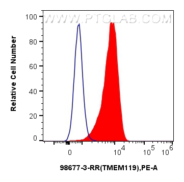 FC experiment of SH-SY5Y using 98677-3-RR FC experiment of SH-SY5Y using 98677-3-RR