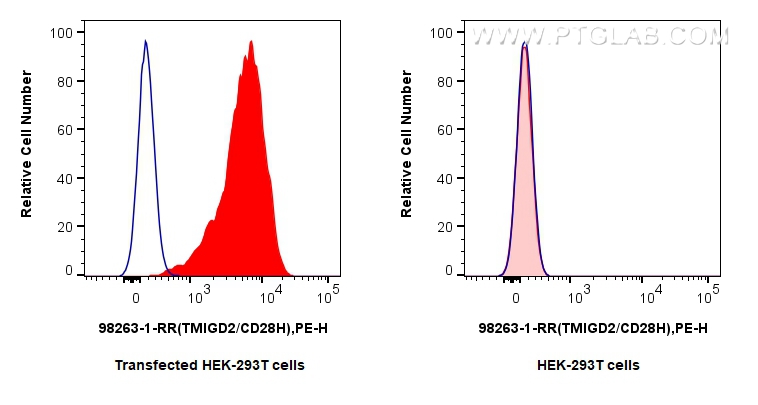 FC experiment of Transfected HEK-293T using 98263-1-RR (same clone as 98263-1-PBS)