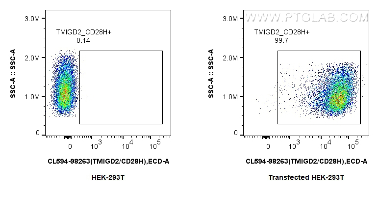 FC experiment of Transfected HEK-293T using CL594-98263 FC experiment of Transfected HEK-293T using CL594-98263