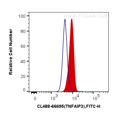 FC experiment of HeLa using CL488-66695