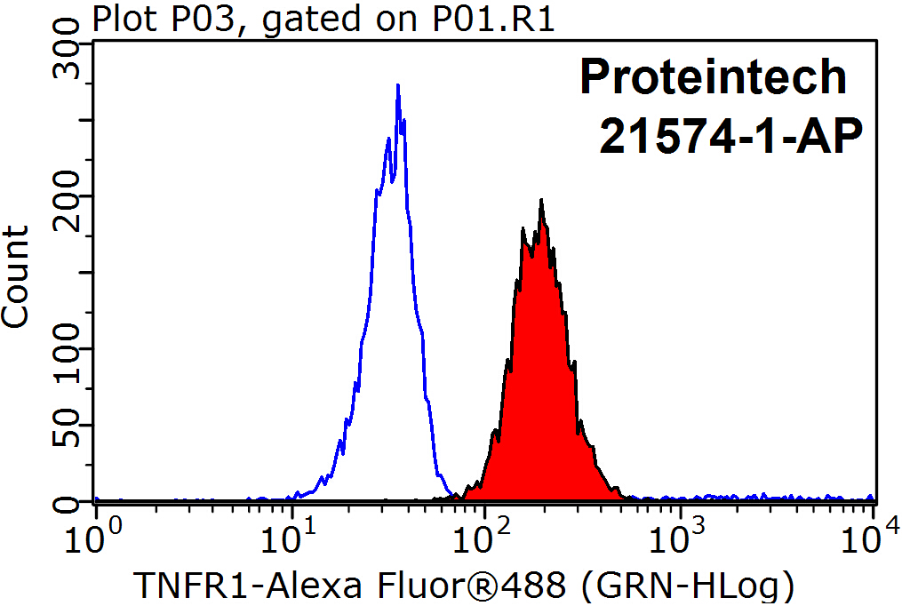 FC experiment of Raji using 21574-1-AP