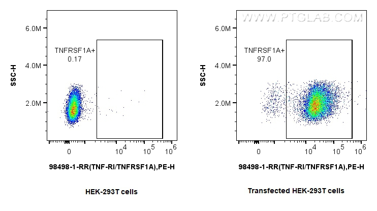 FC experiment of Transfected HEK-293T using 98498-1-RR (same clone as 98498-1-PBS) FC experiment of Transfected HEK-293T using 98498-1-RR (same clone as 98498-1-PBS)