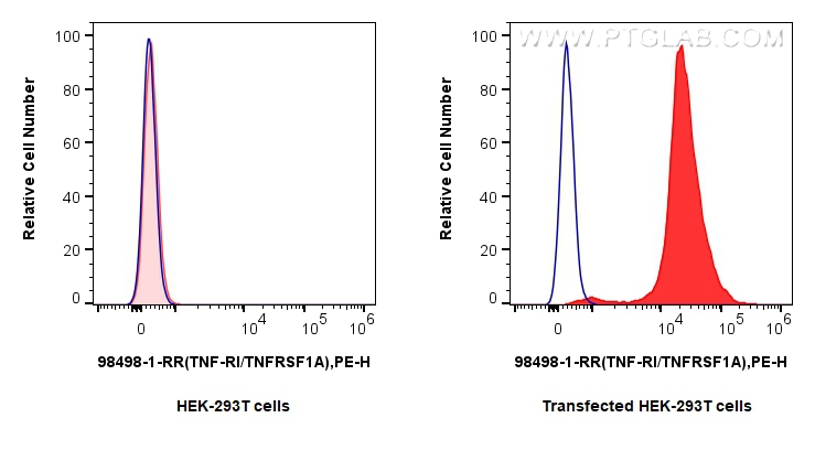 FC experiment of Transfected HEK-293T using 98498-1-RR (same clone as 98498-1-PBS) FC experiment of Transfected HEK-293T using 98498-1-RR (same clone as 98498-1-PBS)