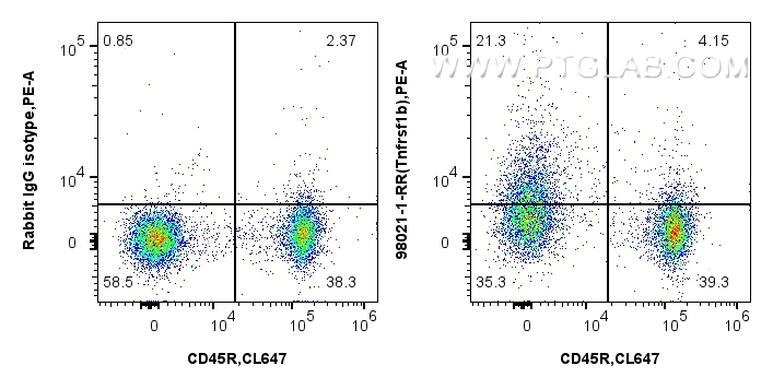 FC experiment of mouse splenocytes using 98021-1-RR