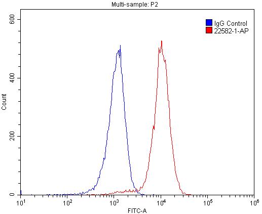 CD268/BAFF-R