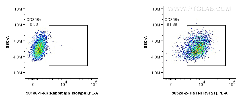 FC experiment of A431 using 98523-2-RR