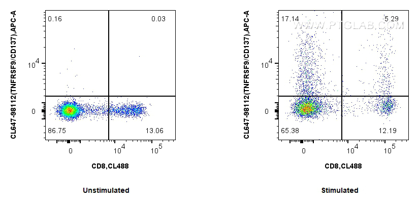 1x10^6 untreated or Con-A treated human PBMCs were surface stained with CoraLite® Plus 488 Anti-Human CD8 (UCHT4) Mouse IgG2a Recombinant Antibody (<a class='green' href='/productredirect?CatalogNo=CL488-65559' target='_blank'>CL488-65559</a>, Clone: UCHT4) and 5 ul Plus 647 Anti-Human TNFRSF9/CD137 Rabbit RecAb (CL647-98112, Clone: 241344F3). Cells were not fixed. FC experiment of human PBMCs using CL647-98112