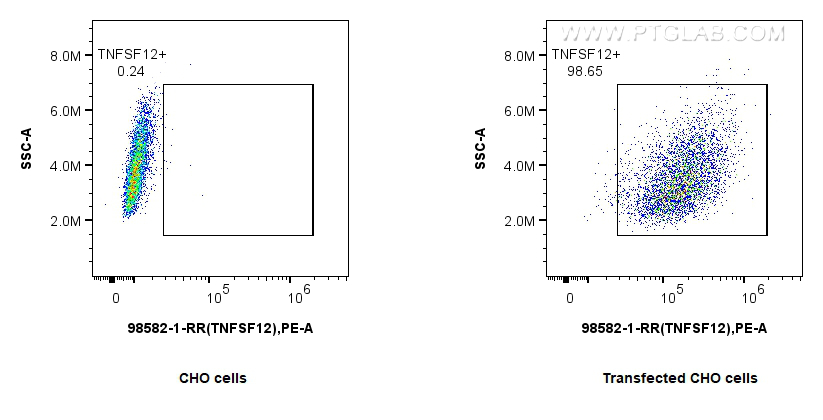 FC experiment of Transfected CHO using 98582-1-RR (same clone as 98582-1-PBS)