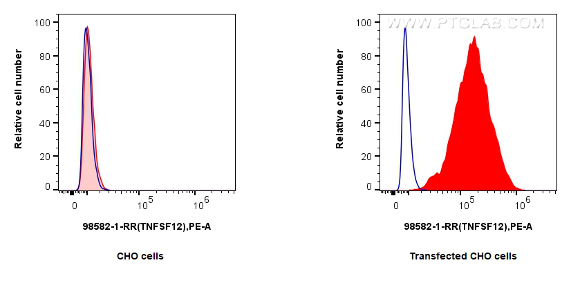 FC experiment of Transfected CHO using 98582-1-RR (same clone as 98582-1-PBS)
