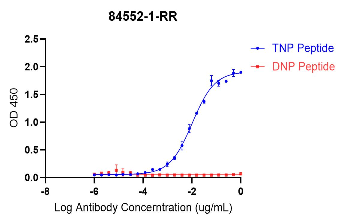 ELISA experiment of peptide using 84552-1-RR