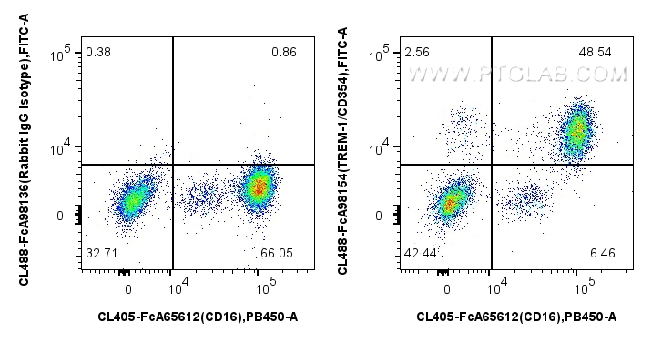 FC experiment of human peripheral blood leukocyte using CL488-FcA98154 FC experiment of human peripheral blood leukocyte using CL488-FcA98154