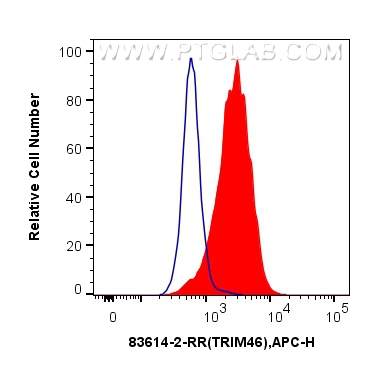 FC experiment of HeLa using 83614-2-RR (same clone as 83614-2-PBS)
